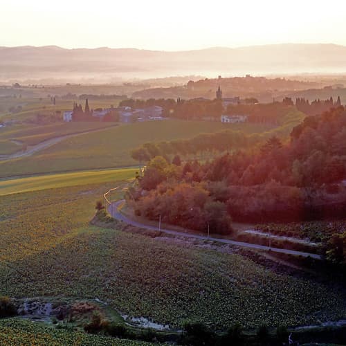 Alaigne, Aude, France