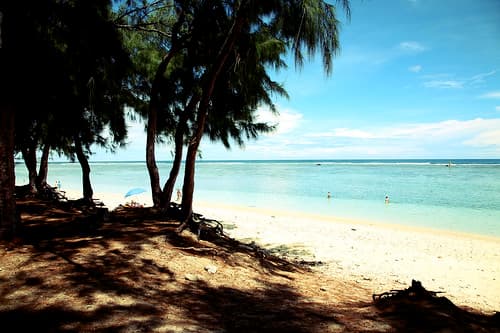 Beach / Reunion