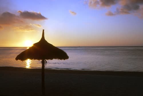 Ile  Maurice