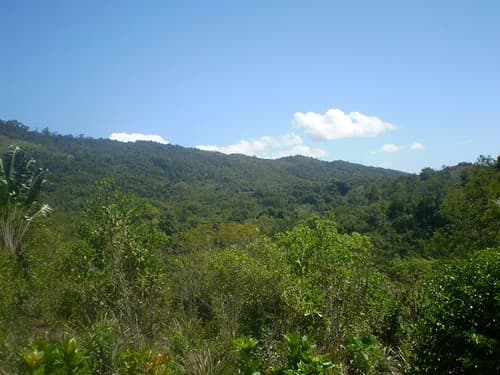 Madagascar Wildlife Conservation Adventure by Emily De Groot