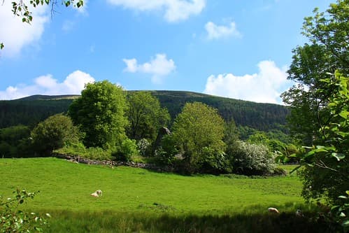 Glendalough - site monastique 22