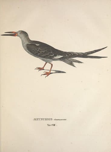 n320_w1150