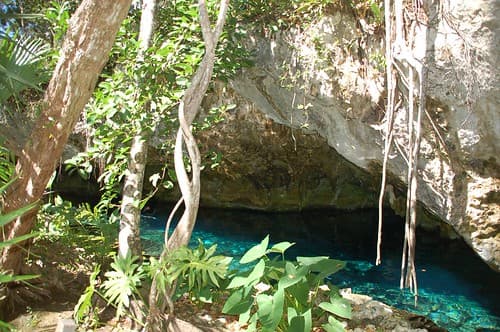 Gran Cenote