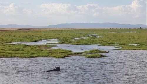 Amboseli, Kenya