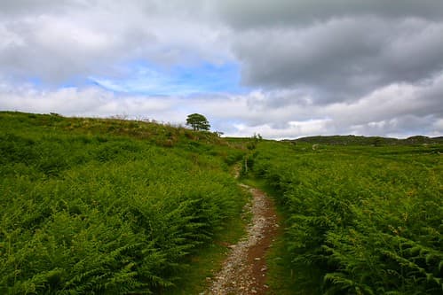 Kerry Trail - Killarney National Park 52
