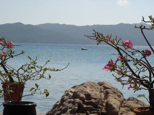 L'INTÉGRALE DE LA THAILANDE