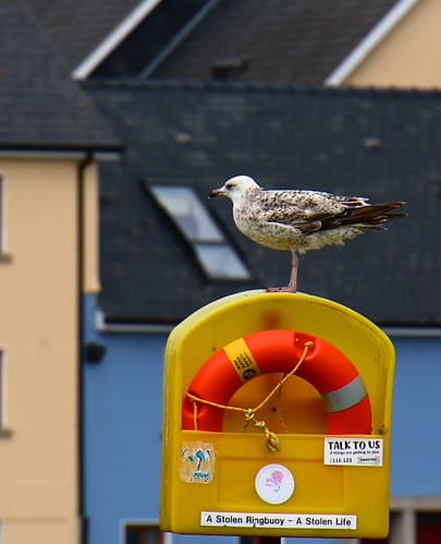 Images de Galway 10