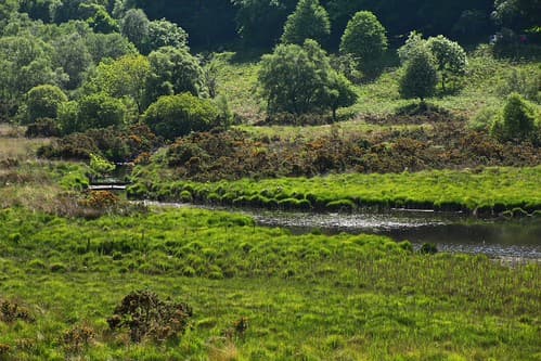 Glendalough - site monastique 31