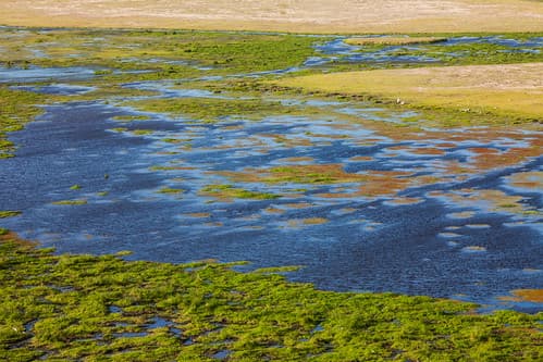 Amboseli, Kenya