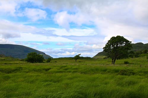 Kerry Trail - Killarney National Park 59