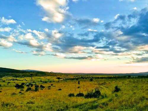 Kenya Sky (phone photo)
