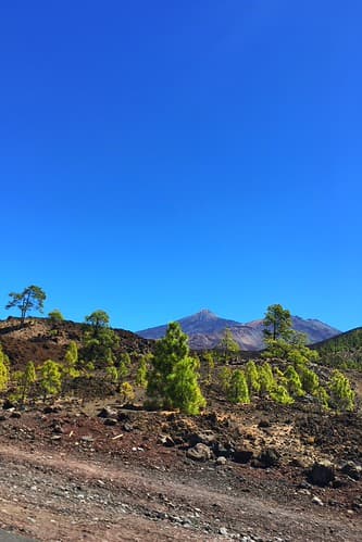 Holde me "Teide".  ( #cc )