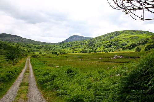 Kerry Trail - Killarney National Park 45