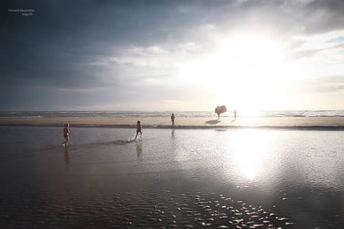 France, Berck sur Mer, le dernier bain du soir