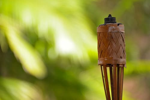 Garden Torch