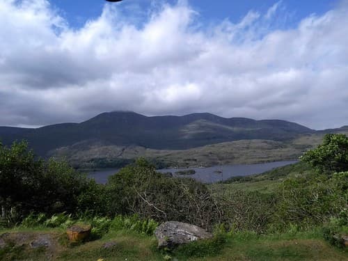 LADIE'S VIEW