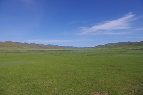 Steppe