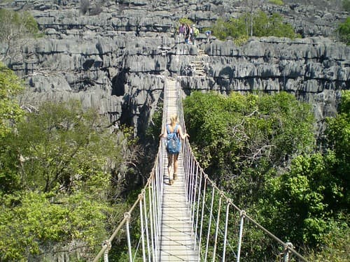 Madagascar Wildlife Conservation Adventure by Emily De Groot