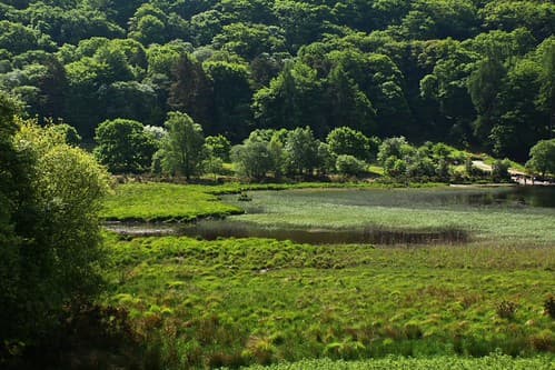 Glendalough - site monastique 27