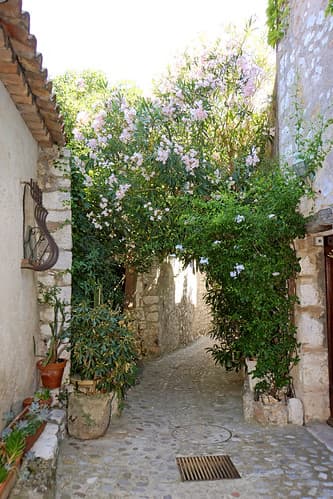 France-002691B - Flower Arch