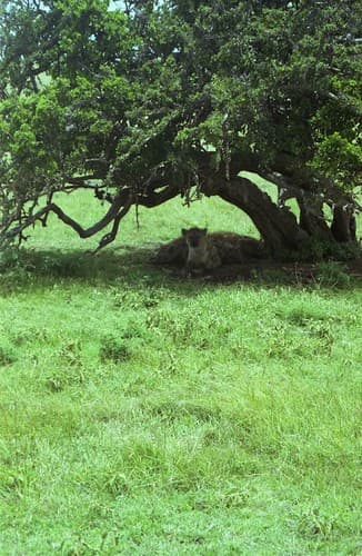 Kenya 055