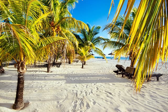 Voyage de noce Ile maurice