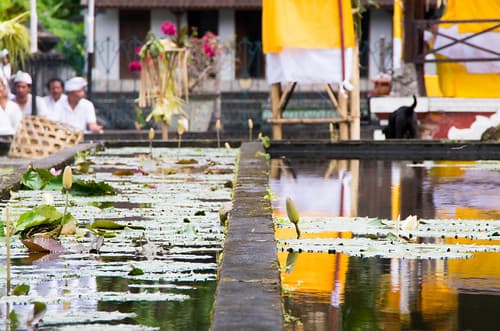 Bali (Ubud, Canggu, Kuta) Indonesie — photo de fabienlej