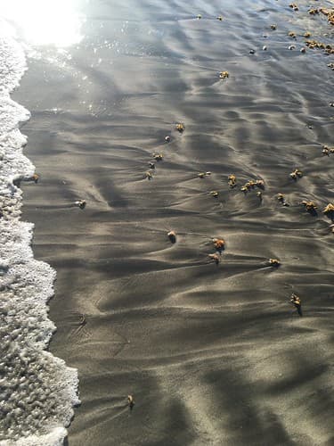 In the sand...