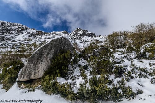 Serra da Estrela #1 - Portugal