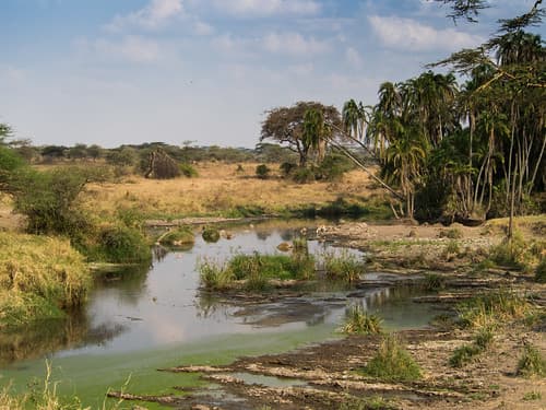 Serengeti Tanzania