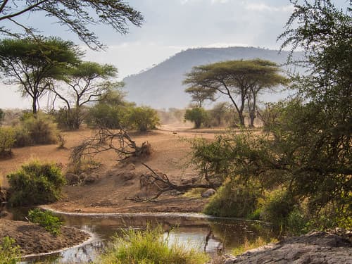 Serengeti Tanzania