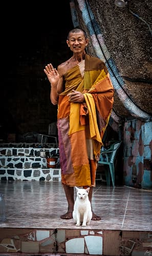 Monk with her cat