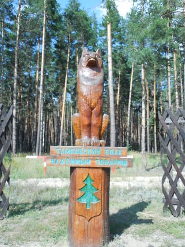 Tambov, Russia (23)