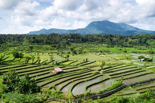 Bali (Ubud, Canggu, Kuta) Indonesie — photo de fabienlej