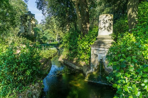 _DSC2458_Florence_06_16