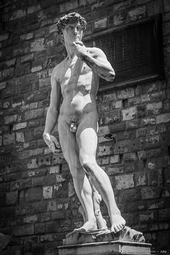 _DSC2351_Florence_06_16