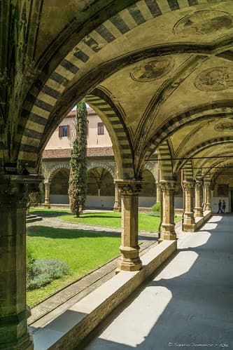 _DSC2414_Florence_06_16