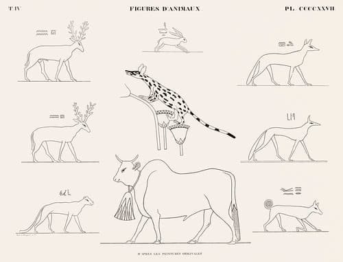 Animal figures from the original paintings from Monuments de l'&Eacute;gypte et de la Nubie (1835-1845) by Jean Fran&ccedil;ois Champollion (1790-1832). Digitally enhanced by rawpixel.