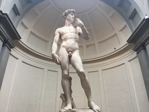 Michelangelo's David