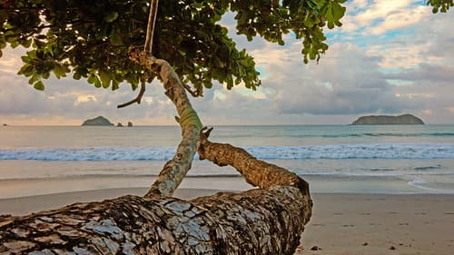dawn at the beach