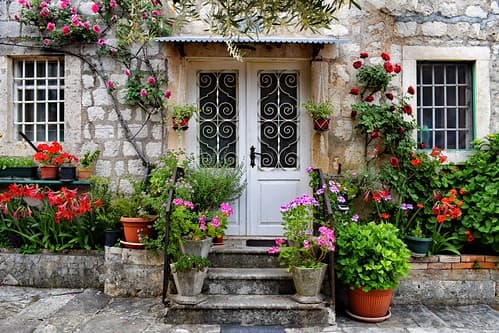 Spring Flowers in Perast
