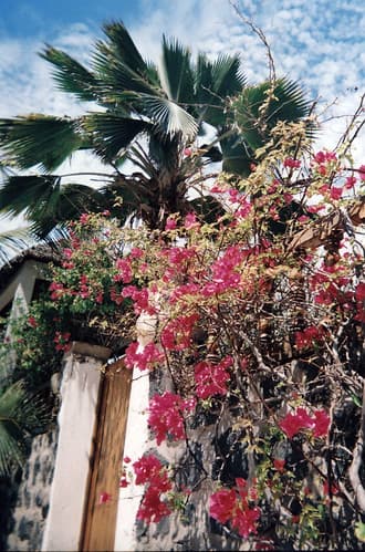 Ile de Goree Senegal 2005