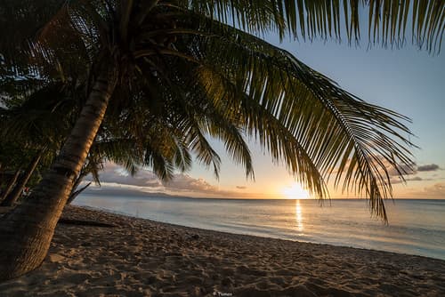 Caribbean Sunset