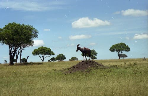 Kenya 051