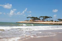 Hôtel CLUB MED LA PALMYRE ATLANTIQUE — France