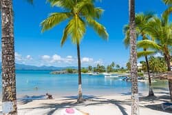 Hôtel HOTEL FLEUR D'EPEE — Guadeloupe