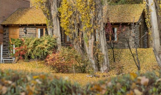 LOS ALAMOS HOTEL CALAFATE – vue 5