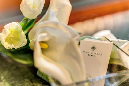 FLOWER GARDEN HOTEL ROME – vue 2