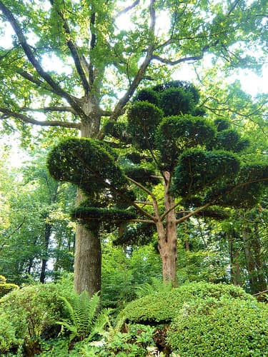 Maulevrier France — photo de DocChewbacca