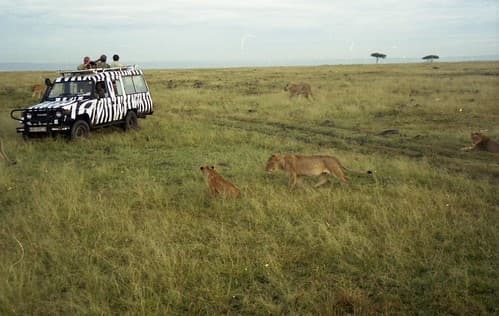 Kenya 121